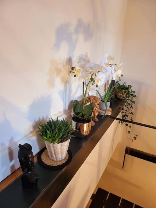 Apartment Duplex Boheme Chic